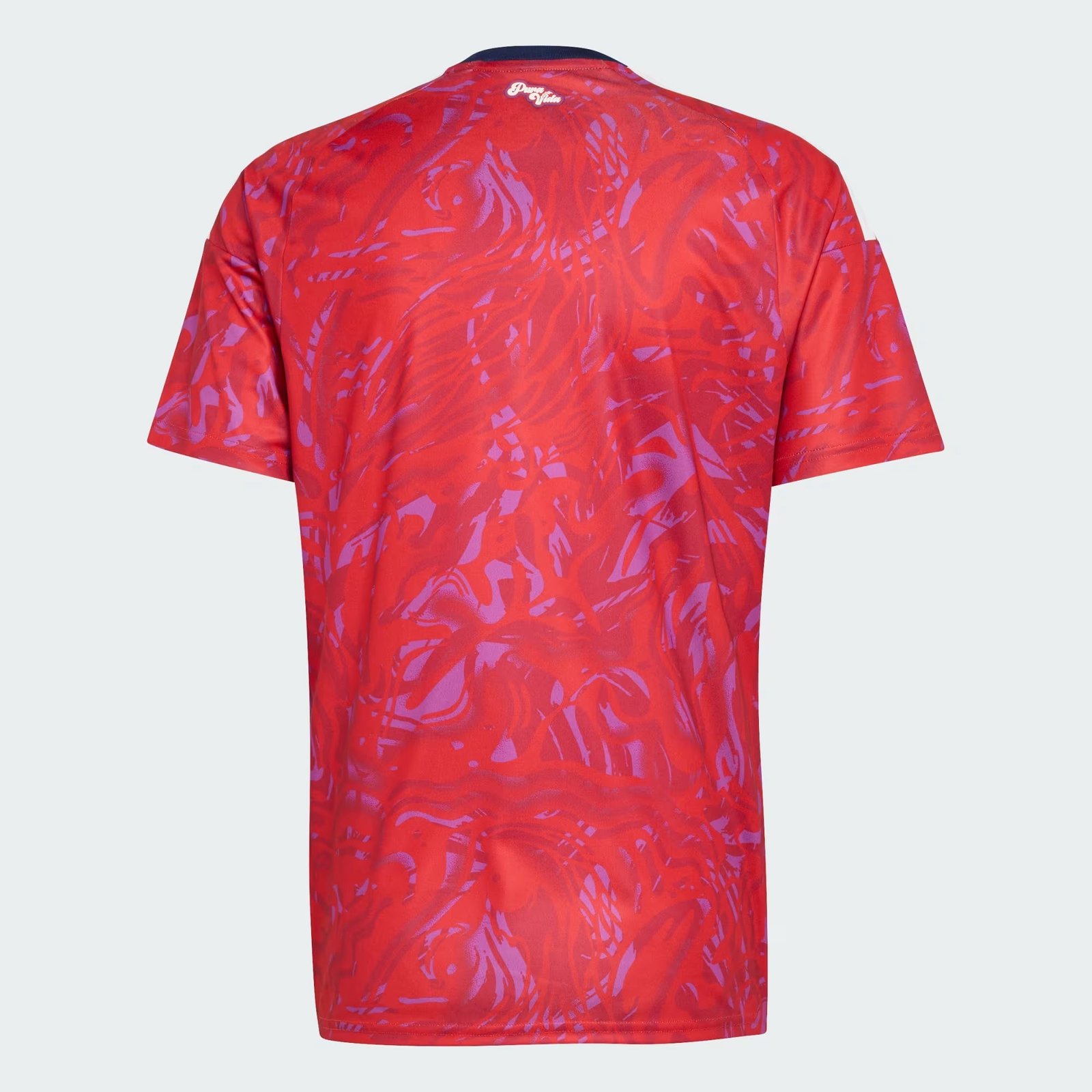 Camisa Costa Rica 2025/26 Home - Imagem 2