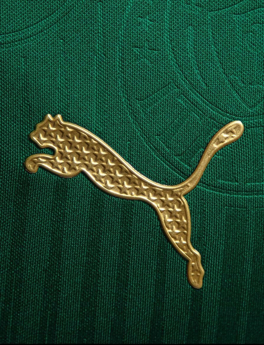 Camisa Palmeiras Home 24/25 Torcedor - Imagem 5