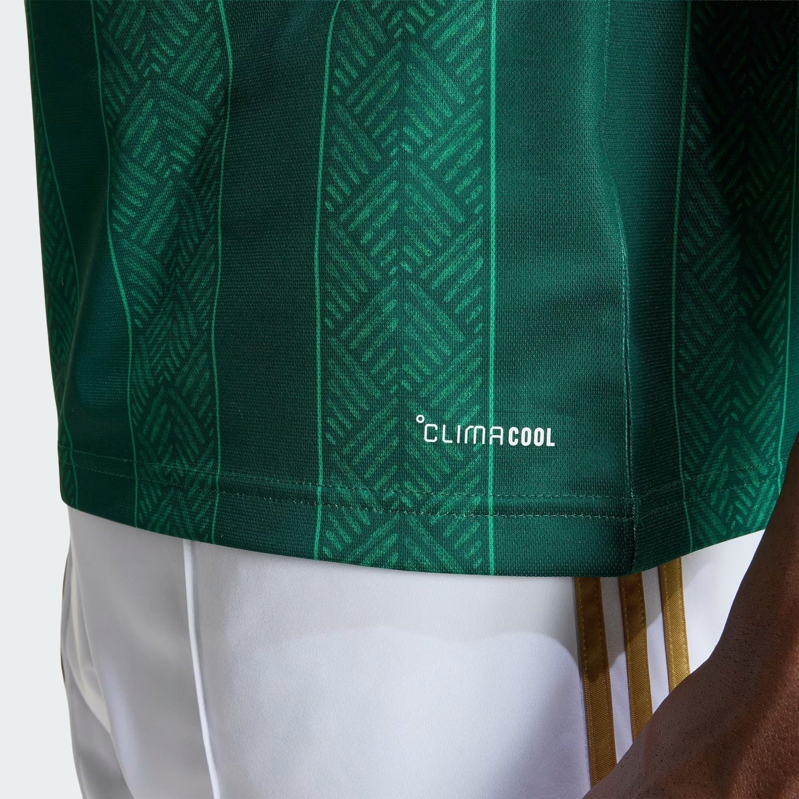 Camisa África do Sul 2026/27 I - Imagem 4